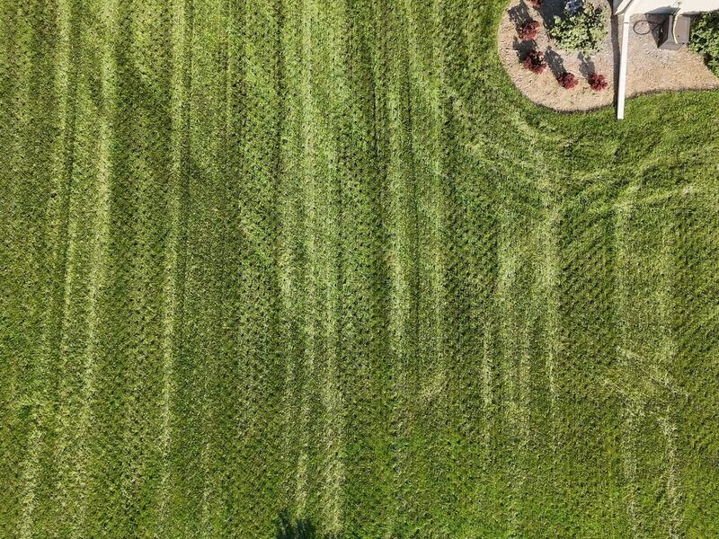Core aeration service reducing soil compaction on a Minnesota lawn