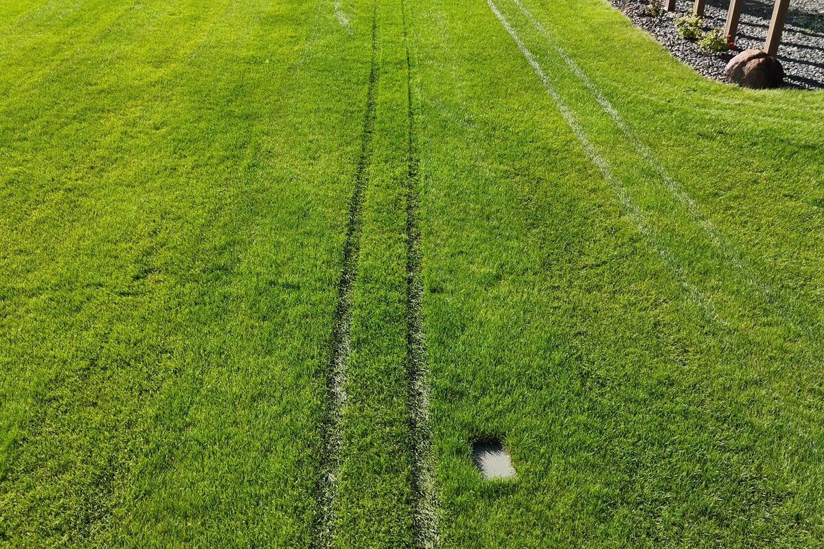 Liquid dethatching enzyme spray treatment being applied to a Minnesota lawn